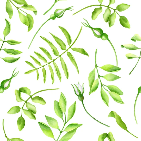 Akvarell buja zöld zökkenőmentes minta. Kézzel festett zöld levelek és fehér rózsa rügyek elszigetelt fehér alapon. Textúra design tapéta, kártyák, dekoráció, csomagolópapír, textil. — Stock Fotó