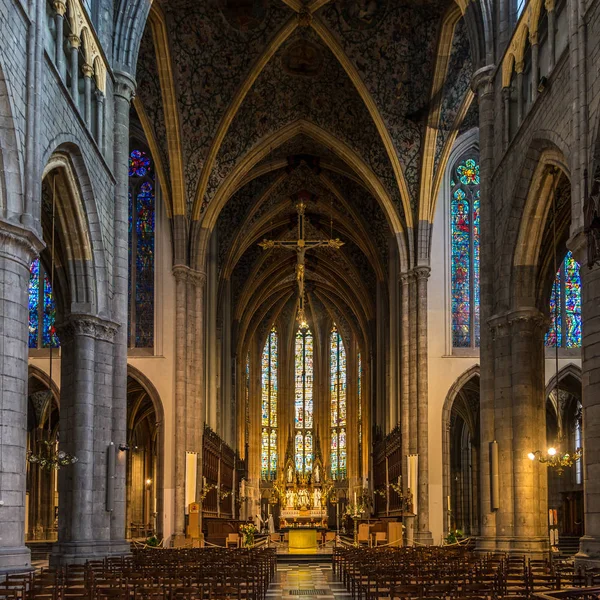 Liège Belgium Maj 2018 Visa Kören Katedralen Saint Paul Liege — Stockfoto