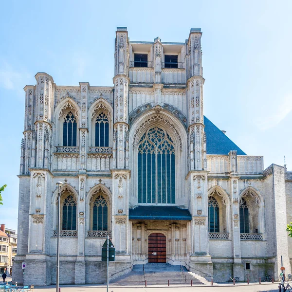 Uitzicht Kerk Van Sint Petrus Leuven België — Stockfoto