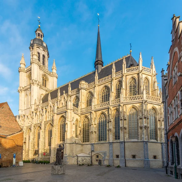 Uitzicht Basiliek Van Sint Maarten Halle België — Stockfoto