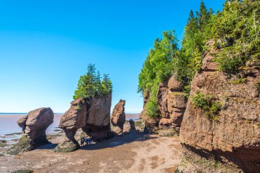 Fundy Körfezi, Amerika Birleşik Devletleri - Haziran 20,2018 - Fundy Körfezi olan New Brunswick Kanada'nın eyaletlerinde ve Nova Scotia.It arasında bir bölmesi varsa son derece yüksek bir gelgit Aralık.