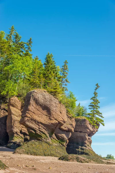 在芬迪湾的潮汐中 岩石形成被发现 加拿大 — 图库照片