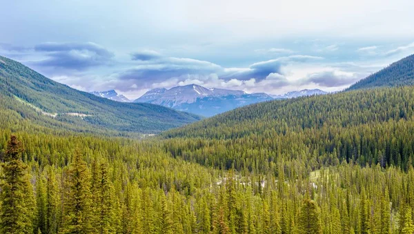 Visa Den Kanadensiska Naturen Klippiga Bergen Nära Banff — Stockfoto