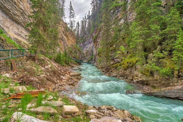 Pohled Johnston Creek Johnston Canyon Banff National Park Kanadských Skalistých — Stock fotografie