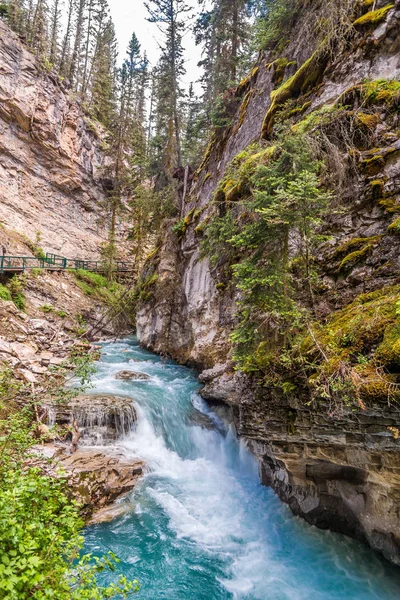 Pohled Johnston Creek Johnston Canyon Národní Park Banff Kanada — Stock fotografie