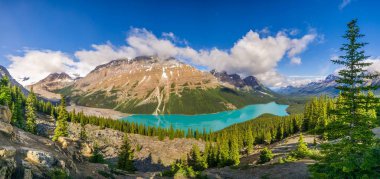 Yay Zirvesi içinde Kanada Rocky Dağları - Kanada Peyto gölden panoramik manzaraya