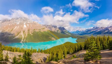 View at the Peyto lake from Bow Summit in Canadian Rocky Mountains - Banff National Park clipart