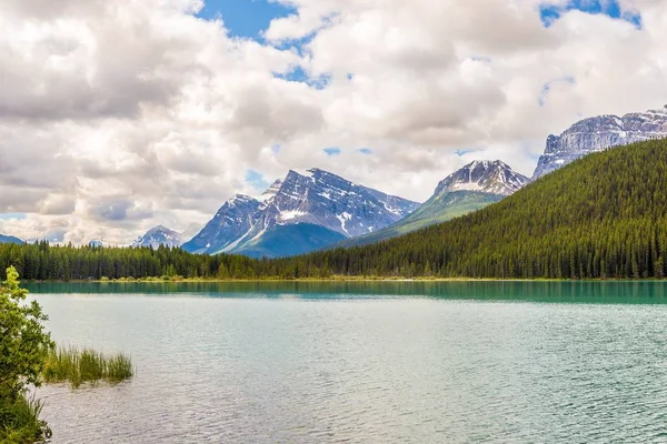 Visa Vid Sjön Sjöfåglar Banff National Park Kanadensiska Klippiga Bergen — Stockfoto