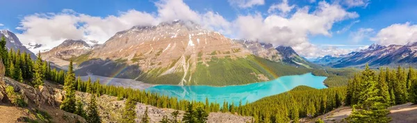 Panoramautsikt Vid Sjön Peyto Med Regnbåge Från Bow Toppmötet Banff — Stockfoto