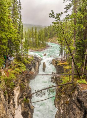Sunwapta Falls, Amerika Birleşik Devletleri - Temmuz 2,2018 - Sunwapta falls gorge görünümünü. Sunwapta Falls şelaleler Sunwapta nehrin Jasper Milli Parkı içinde yer alan bir çift olduğunu.