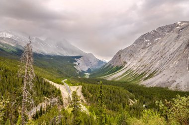 Dağ massifs Kanada Rocky Dağları'nın arasındaki Icefields Parkway yol