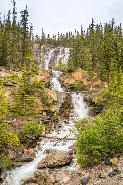 Vista Para Riacho Tangle Cai Perto Icefields Parkway Estrada Parque — Fotografia de Stock