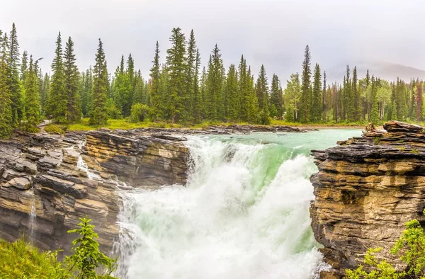 Cascades görünümünü Sunwapta nehrinde Jasper Milli Parkı'nda, Kanada Rocky Dağları