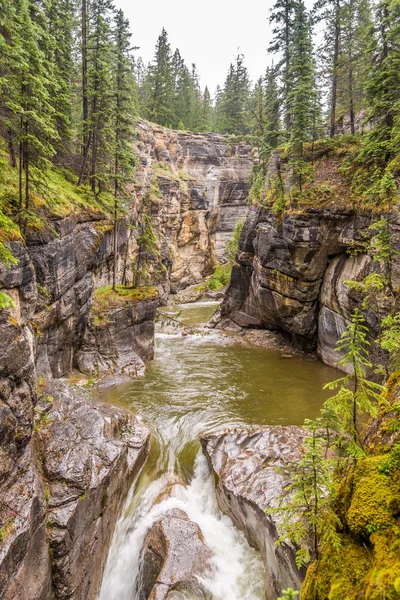 Вид Природу Каньона Малинья Национальном Парке Джаспер Канадские Скалы Роки — стоковое фото