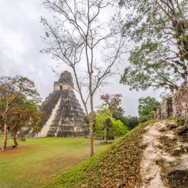 Guatemala Tikal Milli Parkı'ndaki I Tapınağı'nda manzara