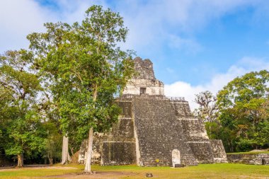 Tikal Milli Parkı Temple Ii Grand Place görünümü - Guatemala