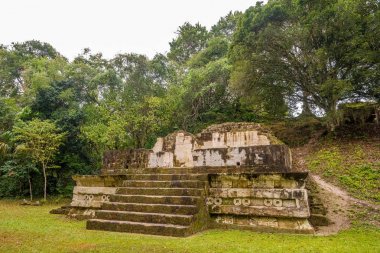 Guatemala Tikal Milli Parkı Antik Kenti Tikal Harabeleri görünümü