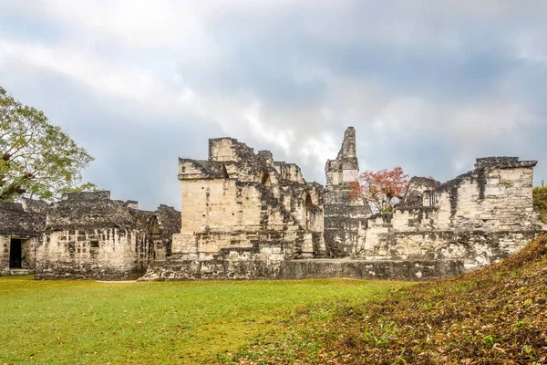 Acropoli Centrale della Città Antica Tikal Nel Parco Nazionale di Tikal - Guatemala — Foto Stock