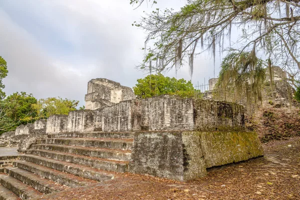 Pohled na Nord Acropolis v národním parku Tikal, Guatemala — Stock fotografie