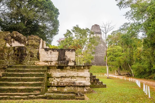 Beskåda på ruinerna av forntida stad Tikal i Guatemala — Stockfoto