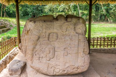Quirigua antik Maya arkeolojik sitesinde Zoomorph P görünümü - Guatemala