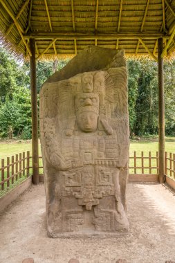 Quirigua Maya Stela görünümü - Guatemala antik Maya arkeolojik site