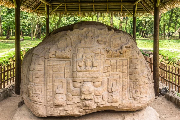 Vista no Zoomorfo P em sítio arqueológico maia antiga em Quirigua - Guatemala — Fotografia de Stock