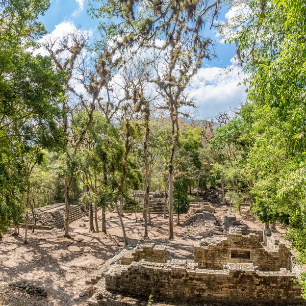 Widok na ruiny Royal Place archeologii Copan miejscu w Hondurasie — Zdjęcie stockowe