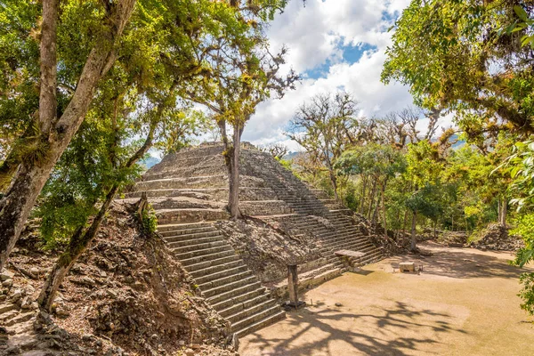 Вид на Західне подвір'я Copan археології сайту в Гондурасі — стокове фото