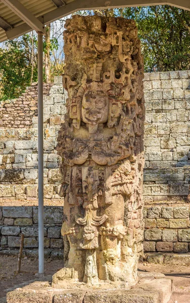 Honduras Copan Arkeolojik Sitesi Stela görünümü — Stok fotoğraf