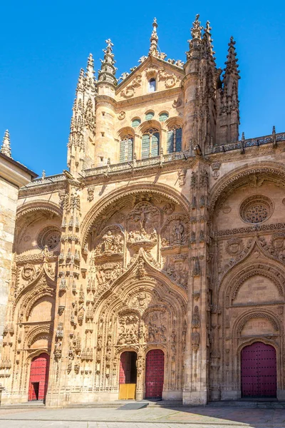 Beskåda på den Side portalen av den nya domkyrkan i Salamanca-Spanien — Stockfoto