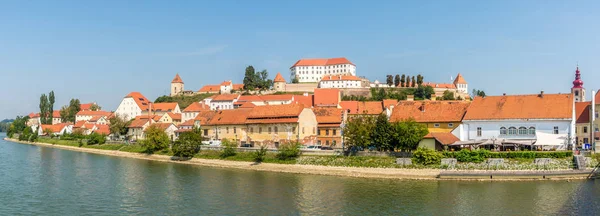 Slovenya'nın Ptuj eski kenti ile Drava nehri panoramik görünümü — Stok fotoğraf