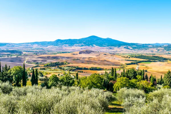 Vista Naturaleza Valle Orcia Cerca Pienza Italia — Foto de Stock