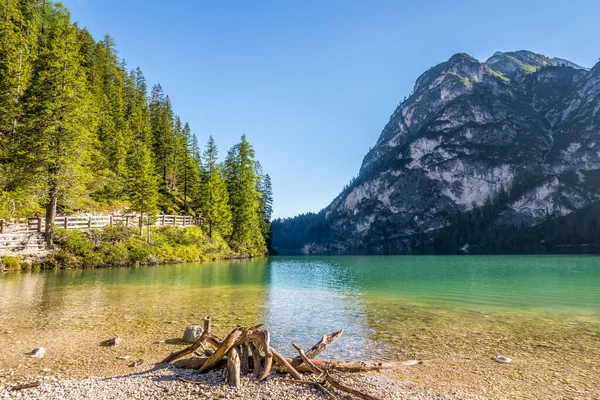 Güney Tyrol Daki Braies Gölü Kıyısındaki Dağ Doğasına Bakın — Stok fotoğraf