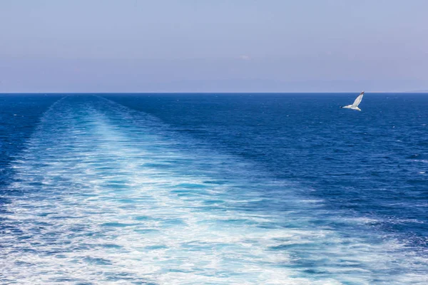 Turkuaz rengi yaz deniz