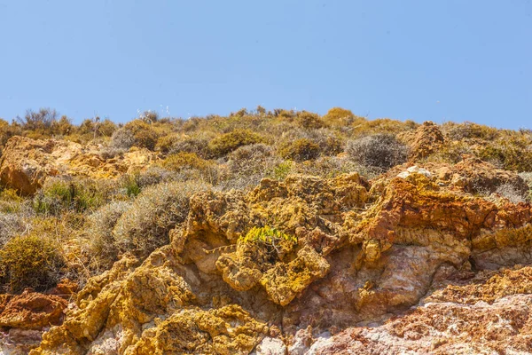 Turkuaz rengi yaz deniz