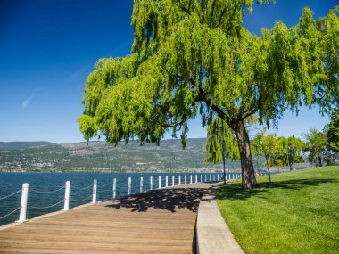 Kelowna, BC Okanagan Gölü sahil boyunca mesire