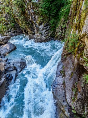 Dağ nehir ile vahşi rapids