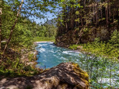 Dağ nehir ile vahşi rapids