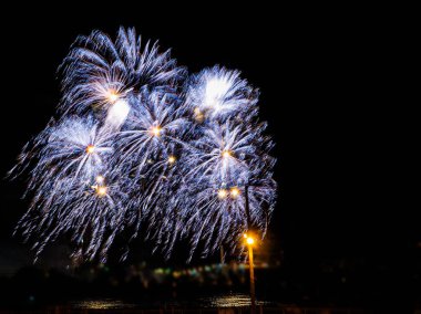 Karanlık gökyüzü karşı birden çok patlamaları ile renkli havai fişek