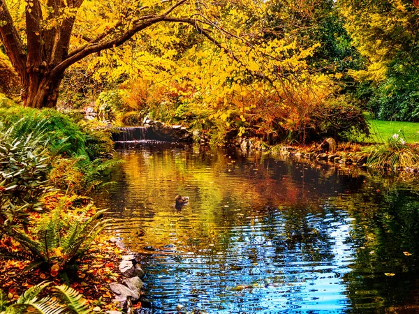 Watrestream durante la temporada de otoño en el público Beacon Hill Park — Foto de Stock