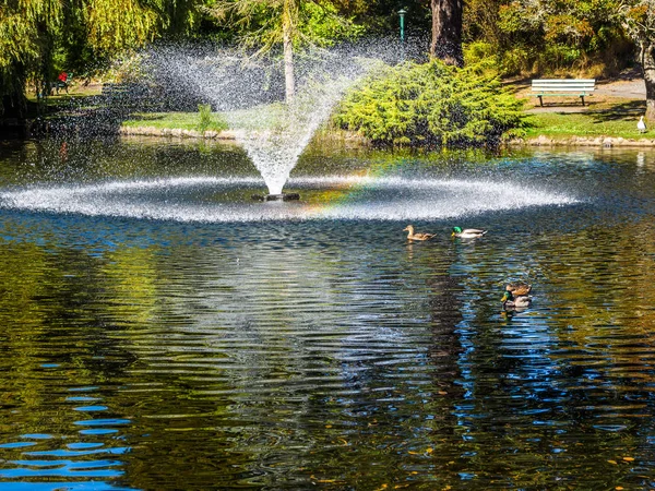 Lago en el público Beacon Hill Park, Victoria BC Canada — Foto de Stock