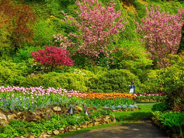 Girl in a blooming spring park — Stock Photo, Image