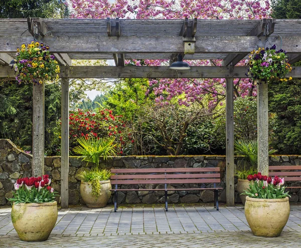 Rustic pergola with bench and flower pots under blossoming cherr — Stock Photo, Image