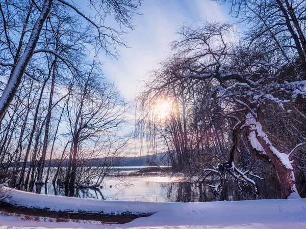 Winter landscape with sun setting among  the trees at the lake s