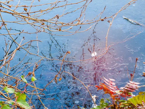 Os ramos de árvore tocam a superfície azul gelada de água, com refl de espelho — Fotografia de Stock