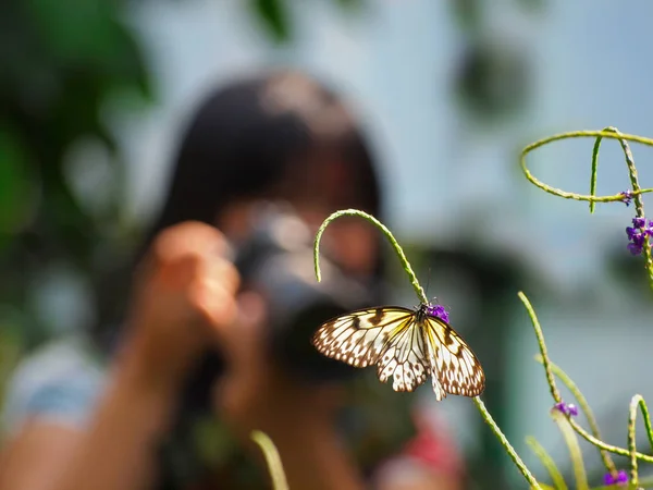 Fotógrafo fêmea tirando uma foto de uma borboleta — Fotografia de Stock