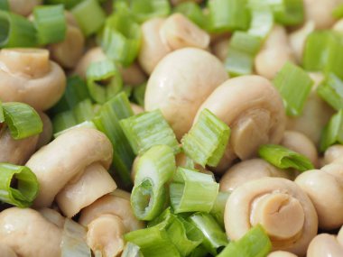 Salamura mantar salatası