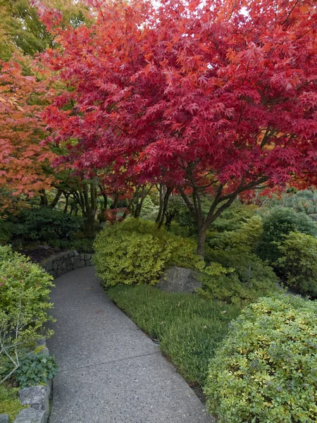 Herfst kleuren — Stockfoto