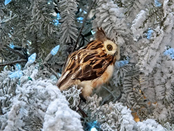 Decoraciones del árbol de Navidad — Foto de Stock